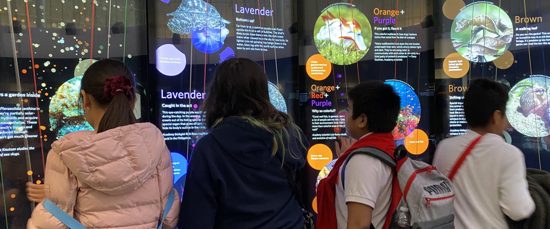 Students looking at a science digital display