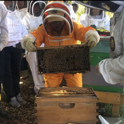 Garden for the Environment BeeKeeper