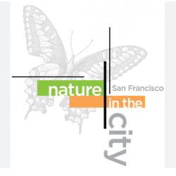 Nature in the City logo