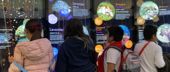 Students looking at a science digital display